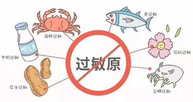 过敏性紫癜恢复期如何安排饮食？