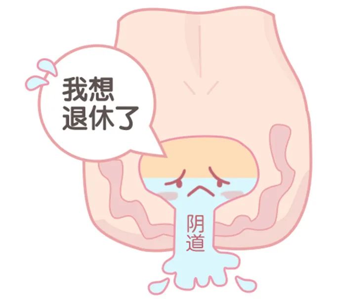 【闺蜜夜话】啊？阴道松弛是因为“为爱鼓掌”太频繁？