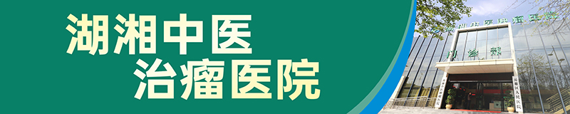 湖湘中医肿瘤医院·长沙市岳麓区人民医院2