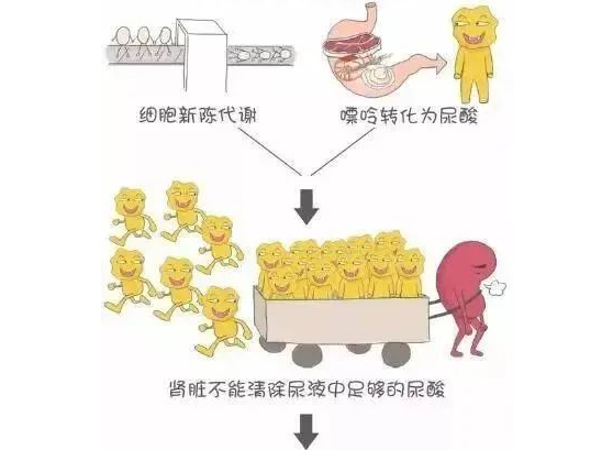 【痛风到底有多痛？】——哈尔滨北一世济医院